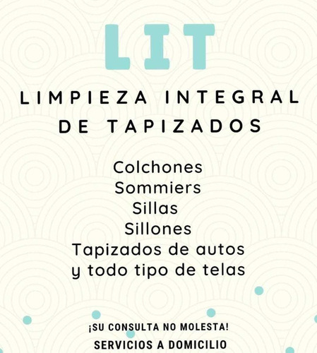 Imagen 1 de 5 de Limpieza Tapizado Colchon Sillon Sillas Alfombras Lit