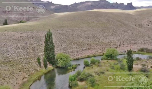 Imagen 26 de 30 de Campo En Venta En Rio Negro - Exclusivo Sobre El Rio Limay. Ideal Flyfishing!