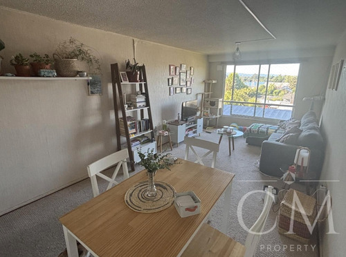 Depto En Condominio Mirador Rio Valdivia, Calle Gral Lagos