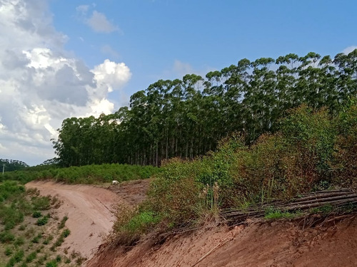 Imagem 1 de 8 de Pj* Que Tal Comprar Seu Terreno Com Facilidade Pertinho Da Represa