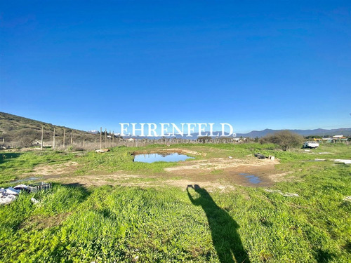 Parcela 5.000 Mt2, Los Laureles. Limache.