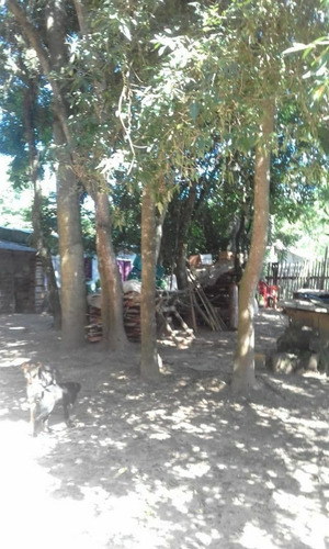Imagem 5 de 8 de Chácara À Venda Na Estrada Luizinho, Caju, Nova Santa Rita - Rs - Liv-15932