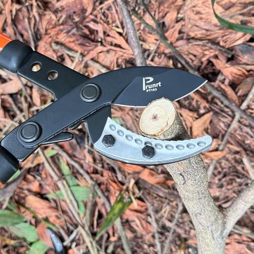 Anvil Lopper De 29 Pulgadas Con Transmisión De Sincronizació