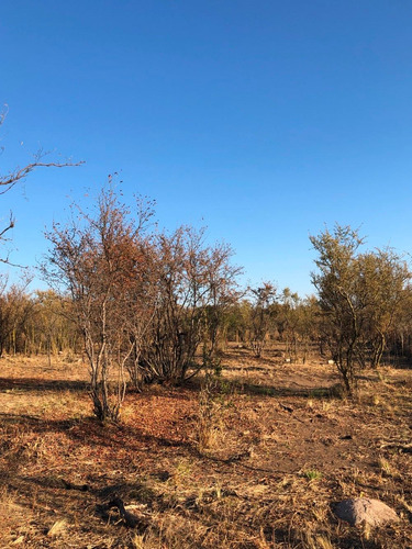 Imagen 3 de 11 de Lote 1202 M2 - Posesion / Villa De Las Rosas - Traslasierra