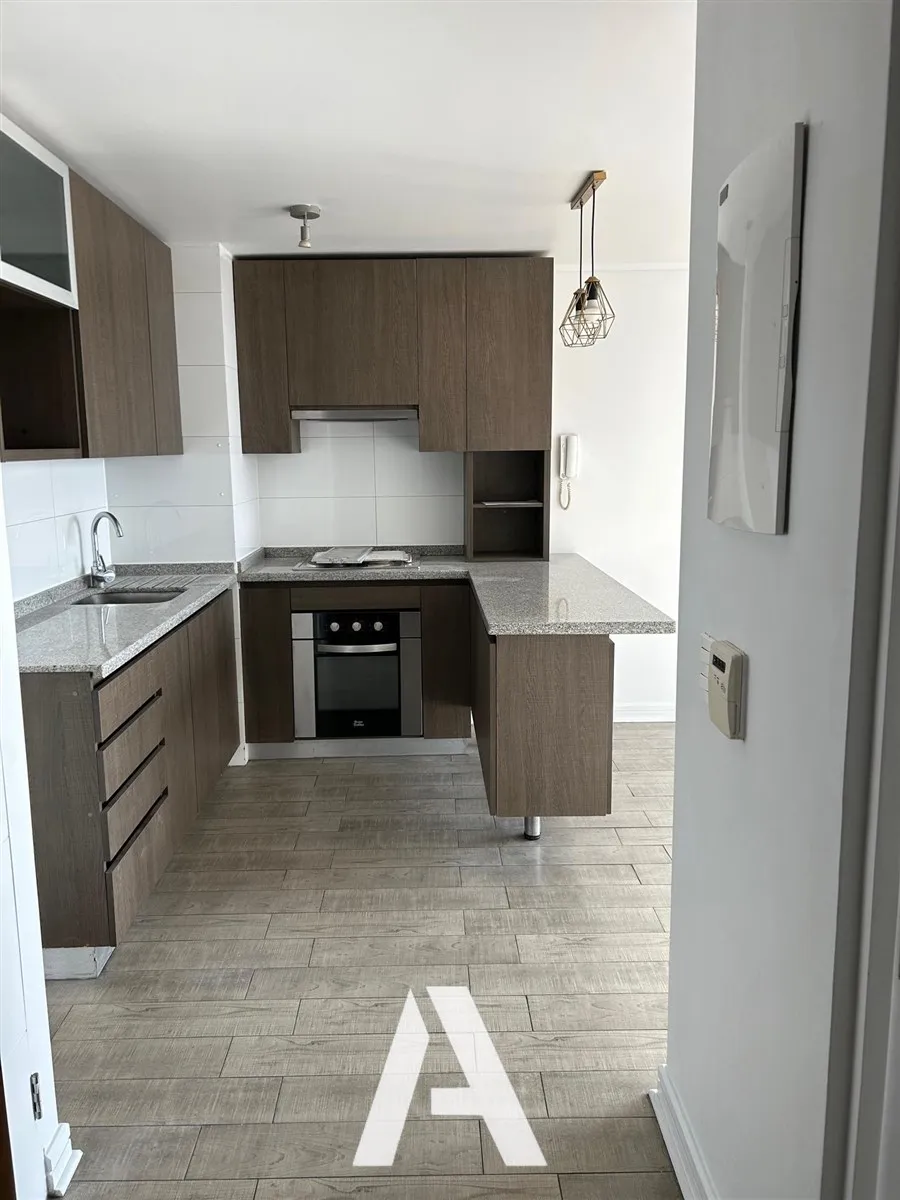 Imagen 2 de 21 de Departamento En Arriendo De 1d, 1b, Bodega, En Independencia