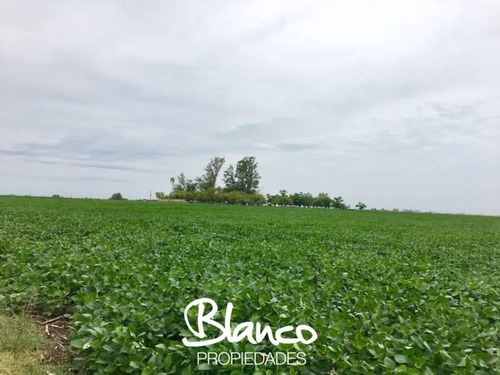 Imagen 2 de 6 de Blanco Propiedades - Campo Mixto En Realicó - La Pampa