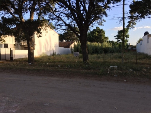 Imagen 3 de 5 de V107-excelente Lote- Mar De Ajo