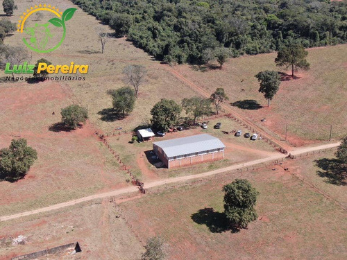 Imagem 1 de 14 de Fazenda À Venda Em Anastácio - Ms - De 510 Hectares (dupla Aptidão) - 1790