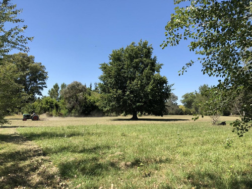 Imagen 2 de 12 de Campo En Venta En La Plata Ruta 215 Dacal Bienes Raices