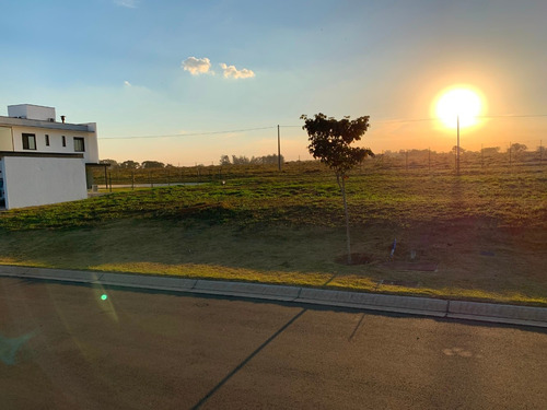 Imagem 11 de 14 de Haras Patente - O Melhor Terreno Do Bairro - Jaguariúna