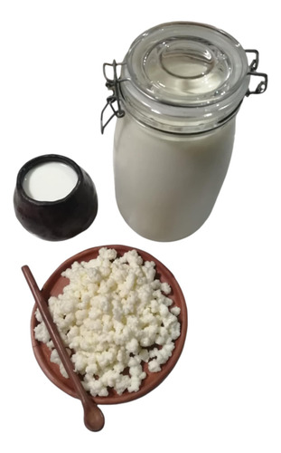 Bulgaros Coliflor De Leche Premium Kefir Yogurt 20 Grs