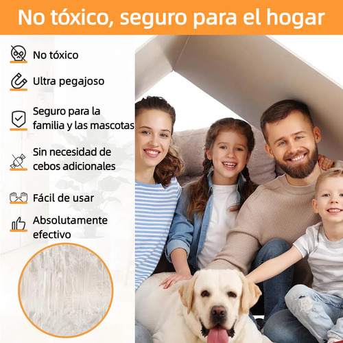 10 Pzs Mata Extermina Cucarachas De Trampas Para Insectos