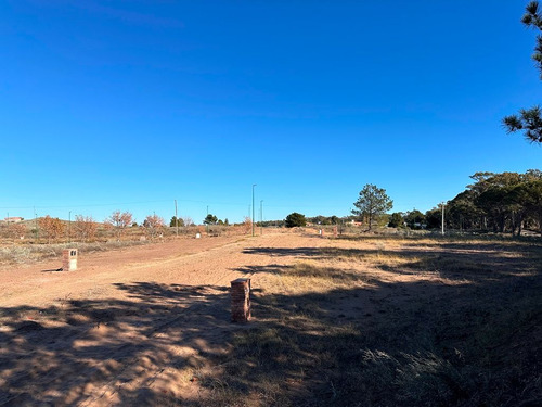 Lotes En Venta Reserva Darwin!! Balneario Pehuen Co