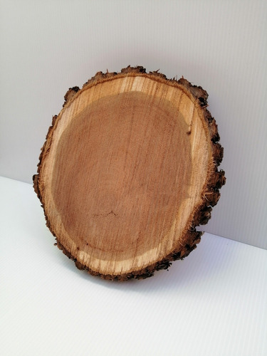 Rodajas Tronco Madera 30 Cm 