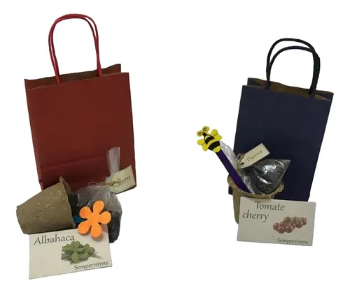 Mini Kit Huerta Para Niños