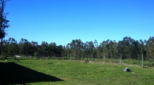 Imagen 13 de 18 de Chacra A 20 Minutos De Punta Del Este Sobre Interbalnearia