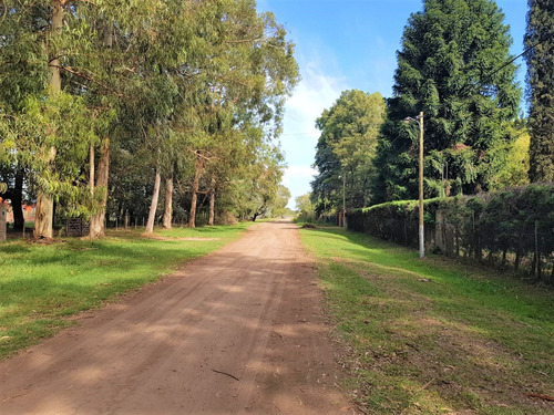 Lote De 3200 M2 En La Reja