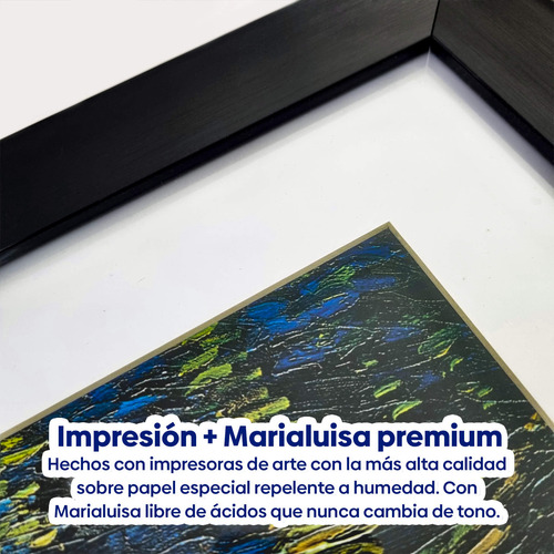 Cuadro Enmarcado Blanco Con Marialuisa Arlequines 30x40