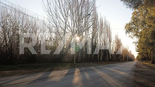 Venta De Chacra 6 Hectareas - Vista Alegre