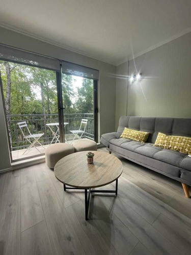 Lindo Departamento (79616)