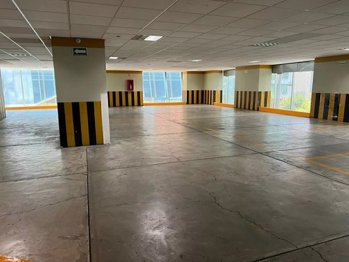 Oficinas En Renta Colonia Anzures ¡esta Es Tu Mejor Opcion!
