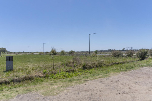 Imagen 5 de 19 de Terreno Funes Norte - Funes
