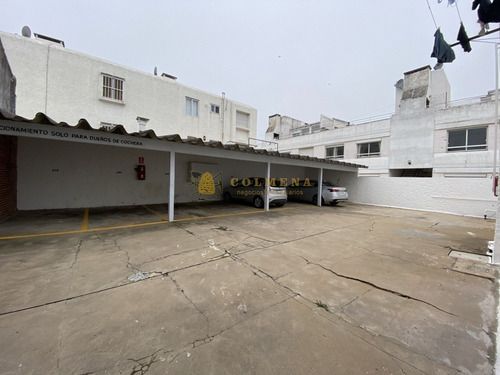 Venta Apartamento En Peninsula, Monoambiente Reciclado- Ref: 4232
