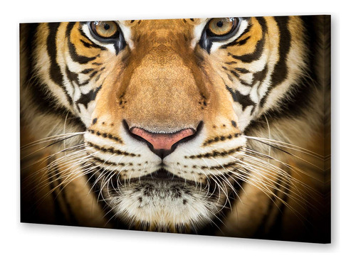 Cuadro Canvas Felinos Tigre Rayado Frente Ojos Penetrantes