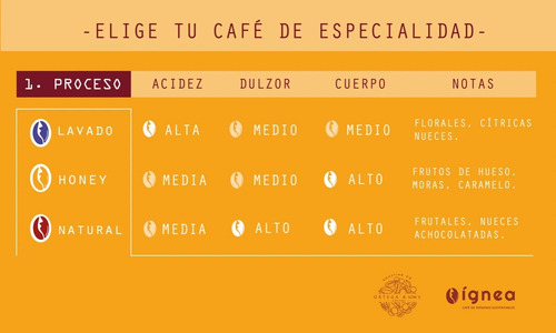 Imagen 5 de 6 de Café De Especialidad Edición Mosaico 4/250gr