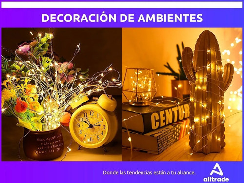 Imagen 3 de 10 de Luz Led Guirnalda Alambre Ext/ Int Efectos Calida Solar 12m