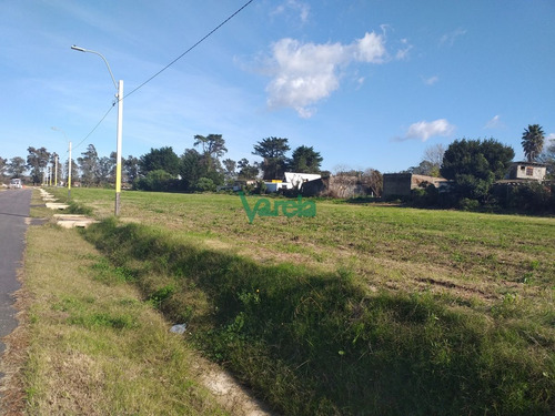Imagen 6 de 8 de Venta De Terrenos En Lagomar Nuevo Barrio ,