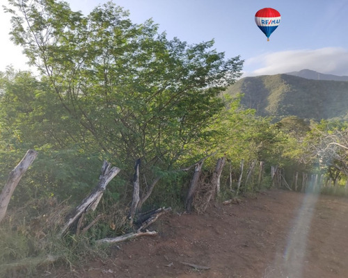 Terreno Ubicado En Zona Fresca, La Asunción, Sector Tacarigua, Con Vista Natural