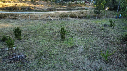 Vendo Terreno Plano En Máfil (88881)