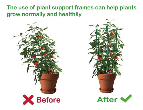 Jaulas Ajustables De Soporte Para Plantas De Tomate. Paqu...