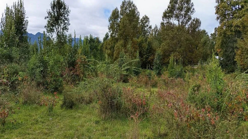 Parcela 5.000m2 | Sector Puquereo | Eje Freire-villarrica