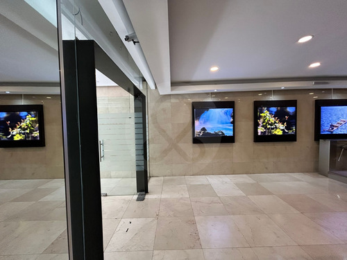 Oficina En Renta En Polanco