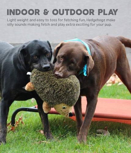 Imagen 5 de 8 de Outward Hound Hedgehogz Squeaky Dog Toy - Cuddly Soft Toy Fo