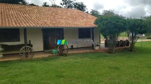 Imagem 7 de 15 de Fazenda - Zona Rural - Ref: 3829 - V-mta3829
