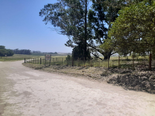 Terrenos En Venta - 1.069mts2 - Arenas Verdes, Lobería