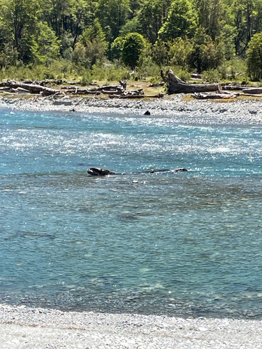 Terreno Res Corcovado - La Junta