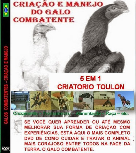 Dvd Galos Combatentes Criação E Manejo 5 Em 1 - Oferta