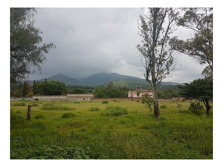 Imagen 3 de 3 de Terreno Comercial & Habitacional En Venta
