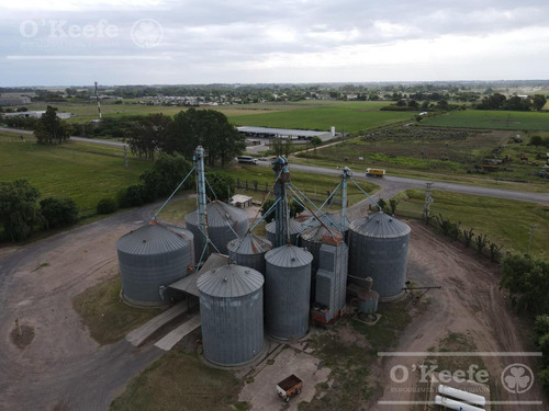Imagen 5 de 13 de Planta De Acopio En Venta En Bragado - Sobre 2 Has - Sobre Ruta 5