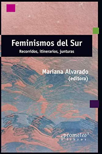 Feminismos Del Sur: Recorridos Itinerarios Junturas: 5 -femi