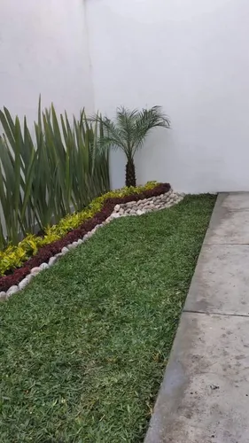 Mantenimiento De Jardín