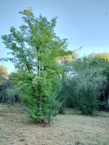 Terreno Con Escritura En Venta En El Tajamar, Las Rabonas, Traslasierra
