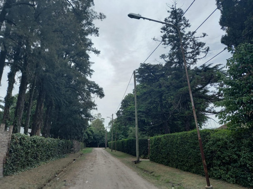 Imagen 5 de 8 de Terreno En Venta En José C Paz