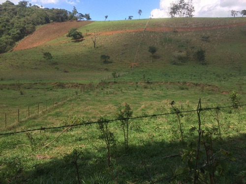 Imagem 30 de 30 de Fazenda - Município Cambuí-mg - Fa0050