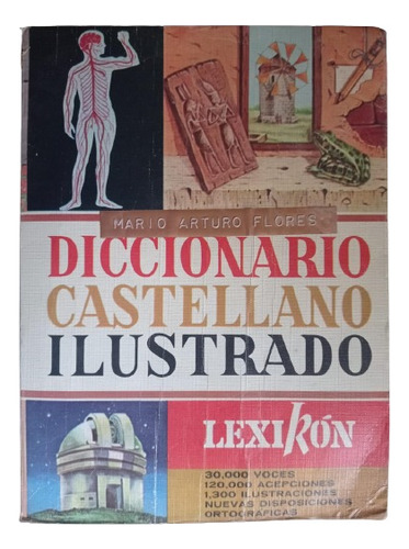 Diccionario Castellano Ilustrado - Héctor Campillo