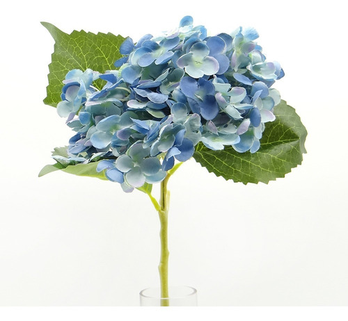 Imagen 5 de 6 de Vara De Hortensia